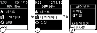 아큐-첵 가이드(Accu-Chek Guide) : 데이터 검토(패턴)