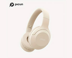 Picun B-01S